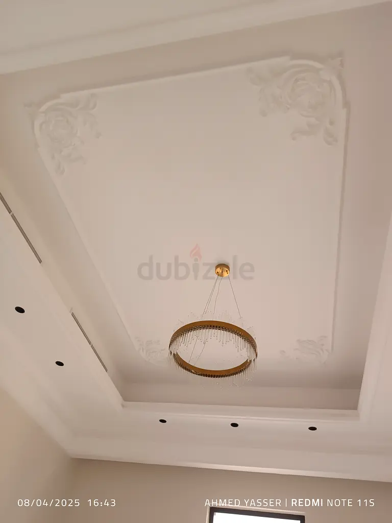 DPV_View_Image_4