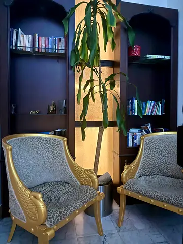 Pair of Gold Accent Armchairs with Leopard Upholstery and 2 shelves