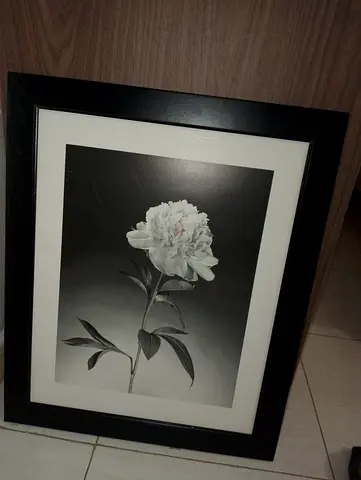 Framed Black  White Floral Photograph - Large Wall Art