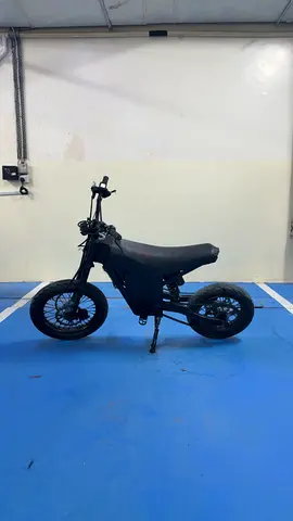Customized Kugoo Wish 01 SE
