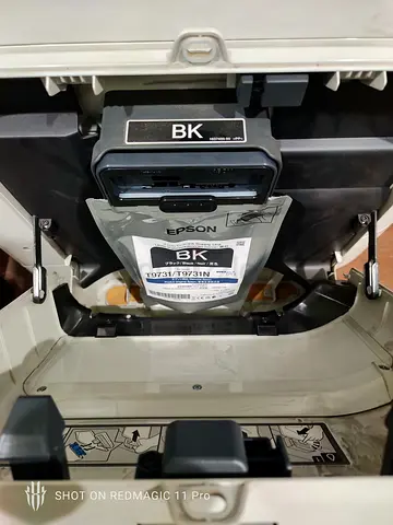 Epson Workforce Printer with Ink Cartridge T9731 / T9731N Installed- Working Conditions poor