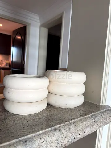x2 Ceramic Planters