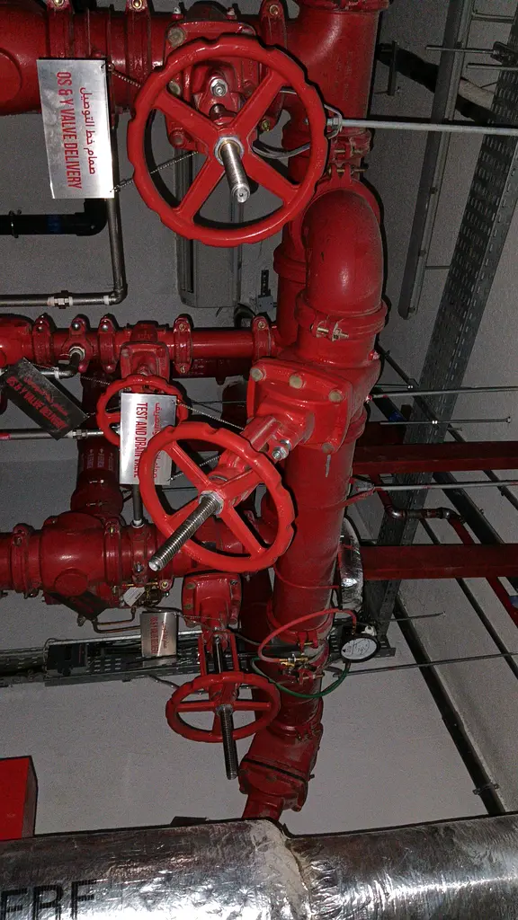 DPV_View_Image_2