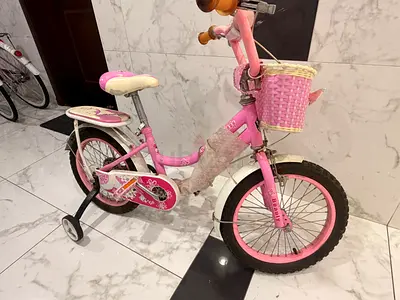 Pink Girls 14-inch Bicycle with Training Wheels and Basket