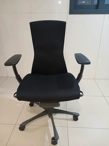 For Sale Herman Miller Embody Fully Loaded Posture Fitt Available excellent condition