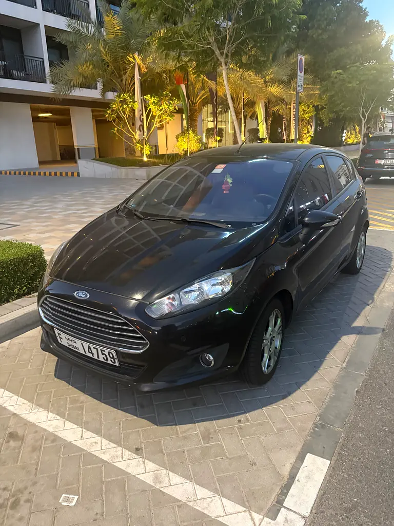 Ford Fiesta 2014 — photo 1 of 6