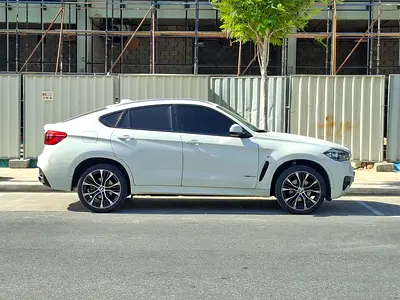 2019 BMW X6 缩略图 4