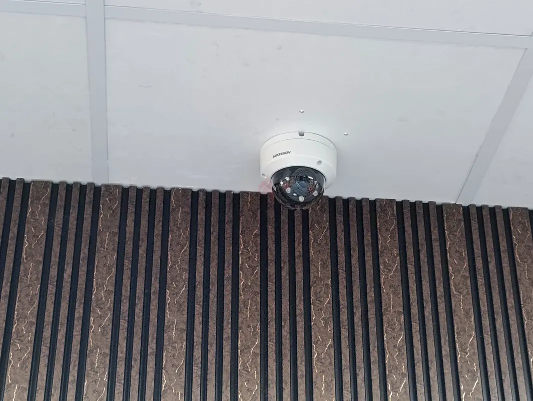 DPV_View_Image_6