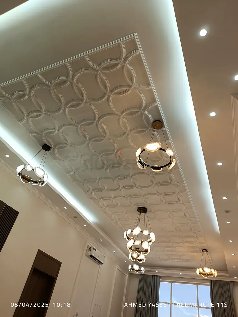 DPV_View_Image_5