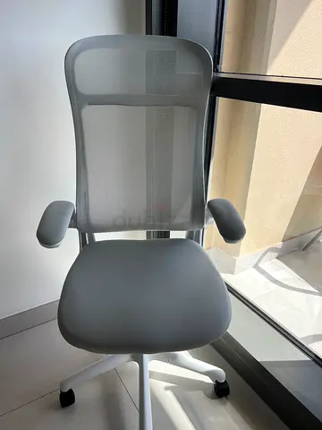 Ergonomic Grey Office Chair with Back Support