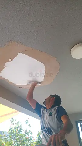 Home Maintenance panting