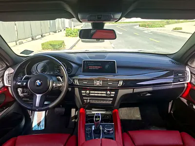 2019 BMW X6 缩略图 9