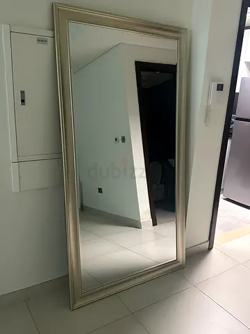 Large Home Center Full-Length Wall Mirror with Champagne color Frame ( 6 months old)