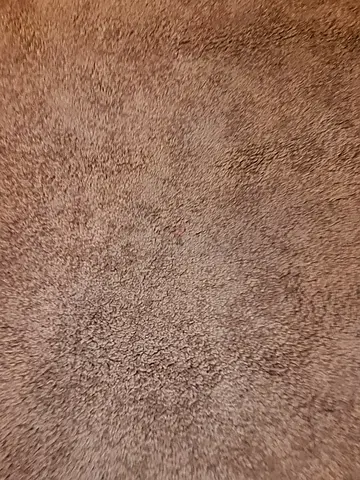 Gray colour carpet 200x300 size