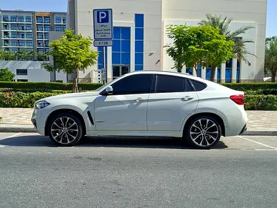 2019 BMW X6 缩略图 5