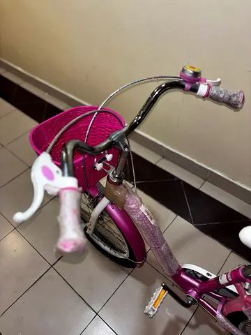 Brand new pink kids bike, never used, clean chains, pumped tires ready for pickup.