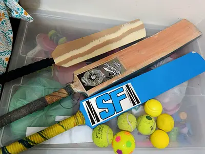 Cricket Bats and Balls