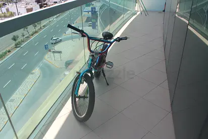 Rainbow BMX from GT