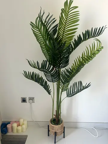 Tall Artificial Palm Plant with Woven Basket Pot (Decor)
