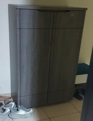 Shoe Rack with Door For Sale