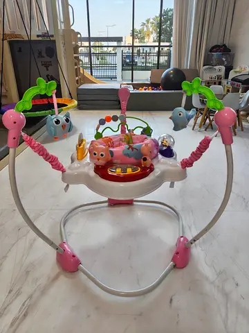 Pink Jumperoo