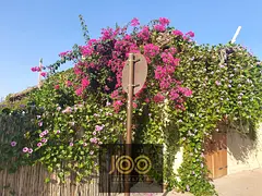 Residential and investment | Prime location | Close to amenities | Spacious areas | Excellent opport