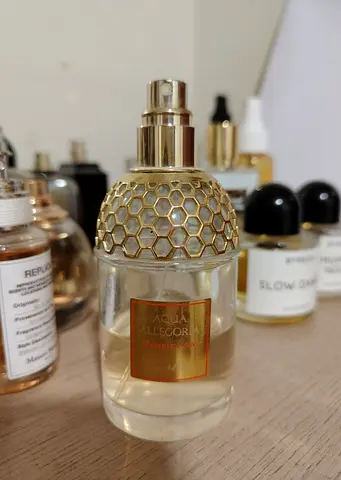 Guerlain aqua allegoria pamplelune perfume
