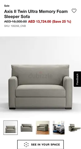 Cratebarrel Sofa bed