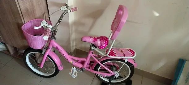 Pink Bicycle for Sale
