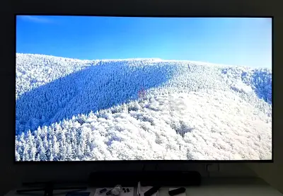 Sony Bravia 49” Smart TV