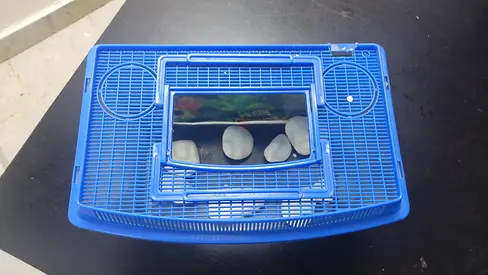 Fish tank