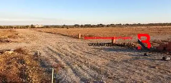 Corner investment land for sale - Al Jimi