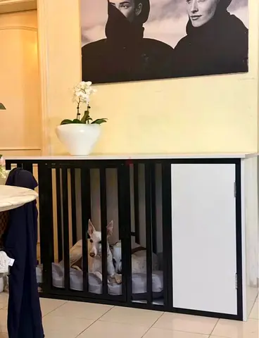 Dog crate furniture