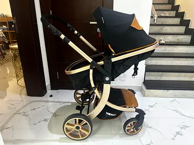 Teknum Two-in-One Reversible Baby Stroller with Bassinet - Black  Gold