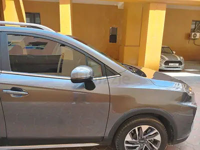 Driver own car own visa