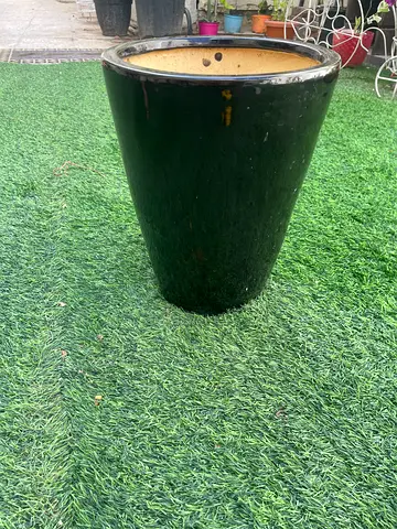 Ceramic decorative Plant pot black