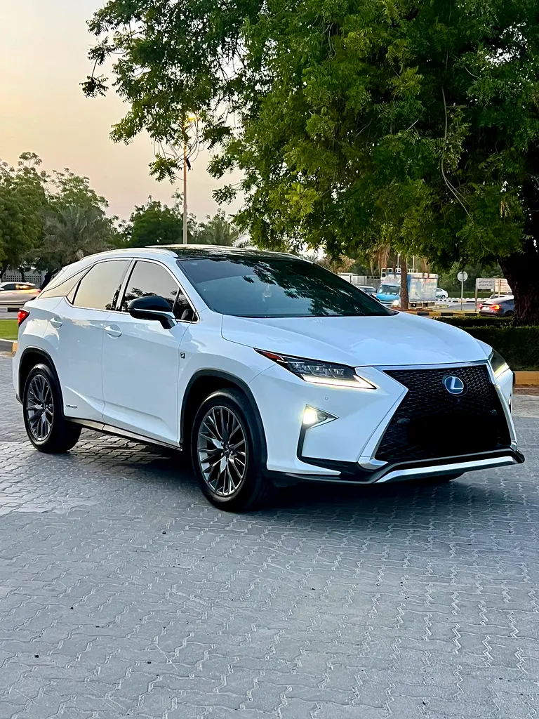 Lexus RX-Series 2019 — photo 1 of 14