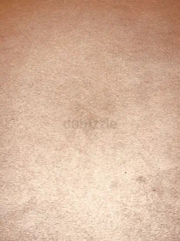 Beige off white Carpet – 240x170 cm