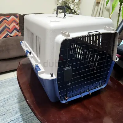 Cats and dogs carriers for air travel
