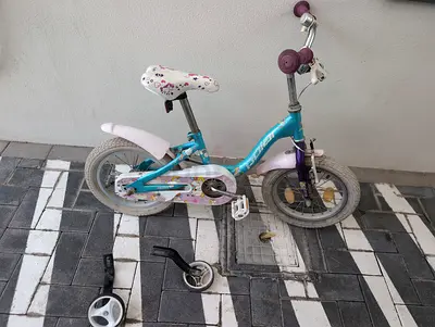 Childrens 12-inch Bike with Training Wheels (Kids)