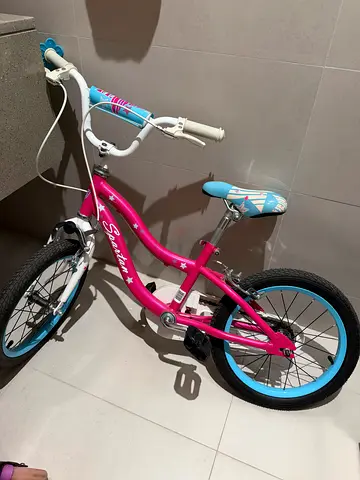 Girls Bicycle with Training Wheels – Chrome Pink Finish, Steel Frame