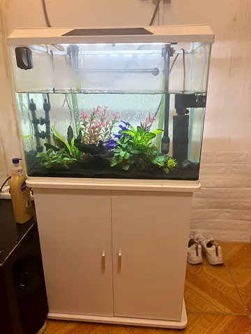 Complete 60-80L Aquarium with Cabinet, Filter, Heater  Plants