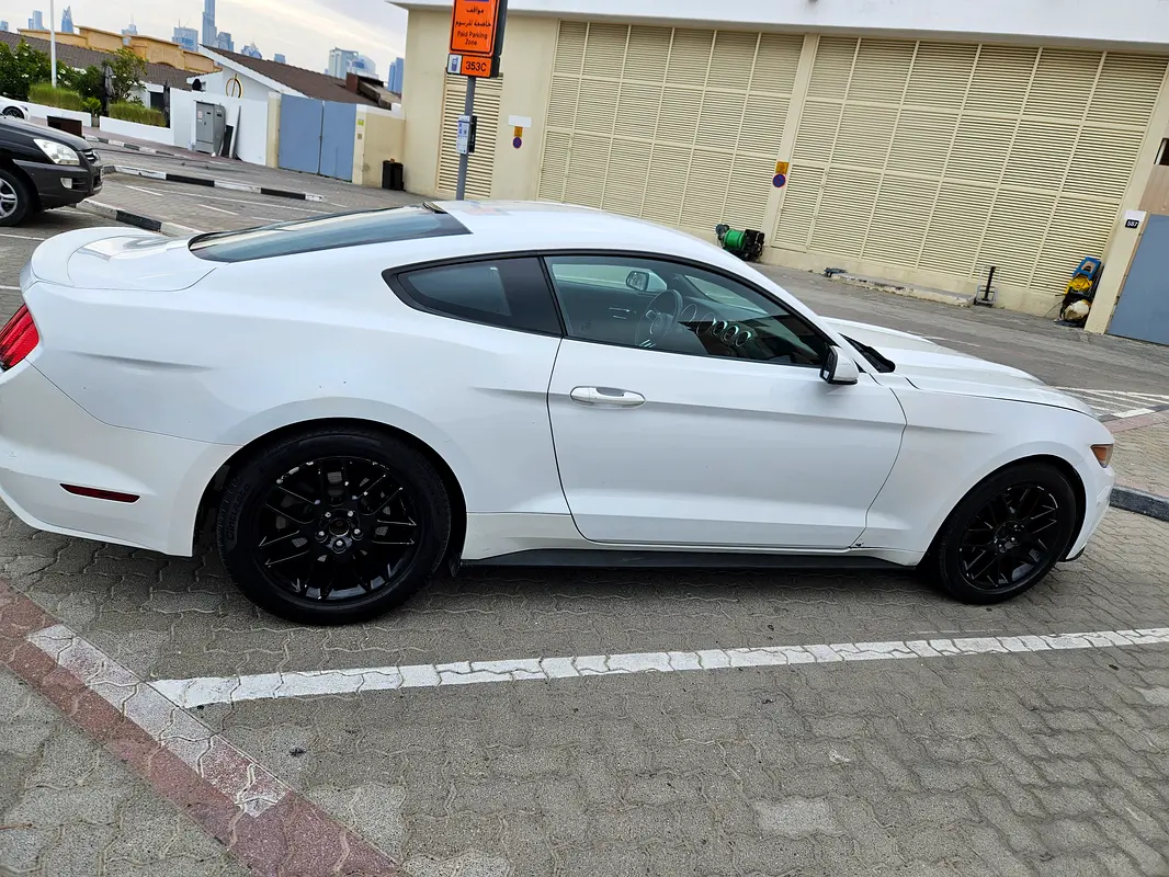 Ford Mustang 2015 — photo 1 of 5