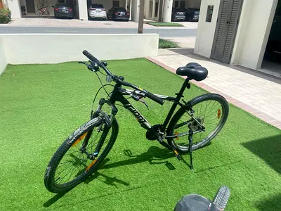 Giant Mountain Bike - 26, Good Condition