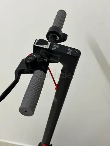 ThuderBird E-scooter (comes with an app)