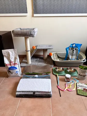 Used cat care bundle: tree, litter tray, bowls, bed, toys  food all new, some still in packaging.