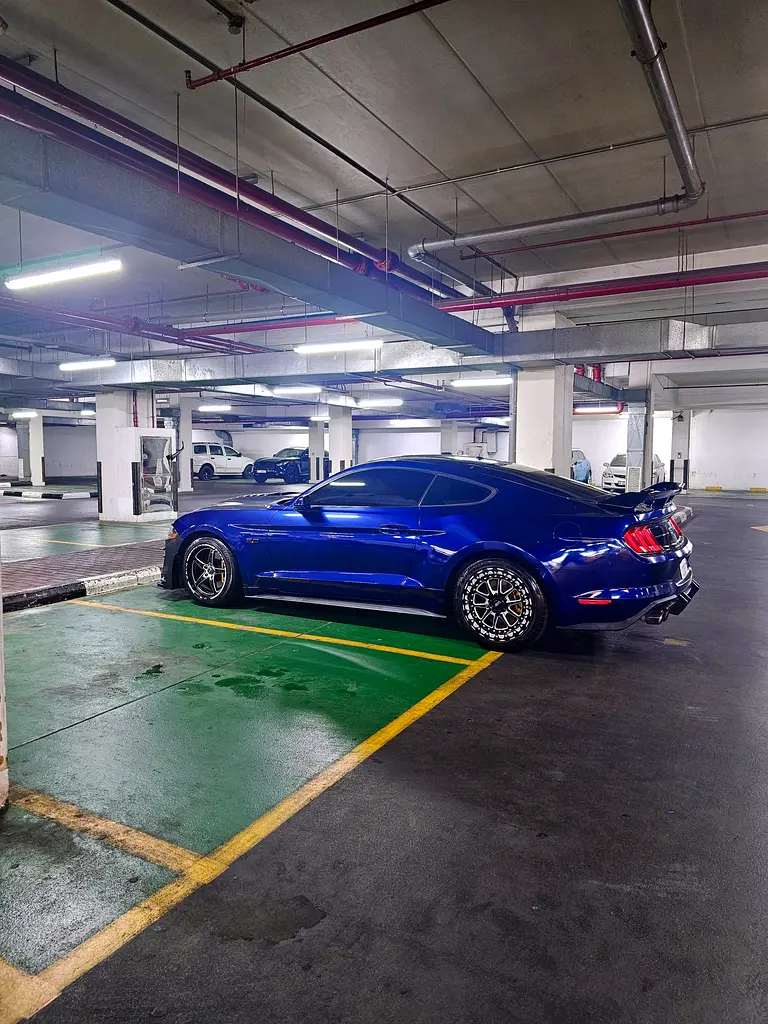 Ford Mustang 2019 — photo 1 of 11