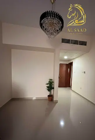 شقة جاهزة للسكن أو الاستثمار في النعيمية C بإطلالة رائعة وقسط مناسب