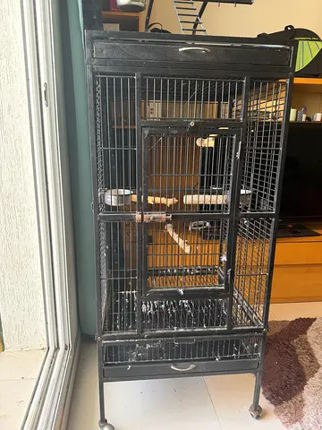 Bird cage