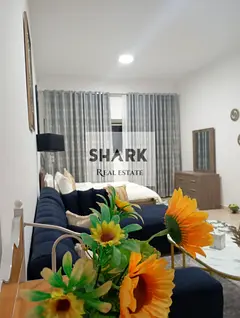 for rent monthly studio in agman 1 tower full furinture